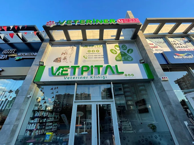 Vetpital Veteriner Kliniği dış cephe fotoğrafı